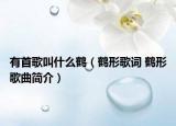 有首歌叫什么鹤（鹤形歌词 鹤形歌曲简介）
