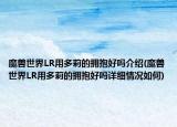 魔兽世界LR用多莉的拥抱好吗介绍(魔兽世界LR用多莉的拥抱好吗详细情况如何)