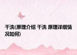 干洗(原理介绍 干洗 原理详细情况如何)