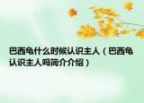 巴西龟什么时候认识主人（巴西龟认识主人吗简介介绍）
