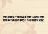 星群夏桑菊主要的效果是什么介绍(星群夏桑菊主要的效果是什么详细情况如何)