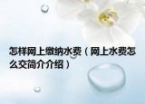 怎样网上缴纳水费（网上水费怎么交简介介绍）