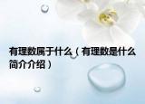 有理数属于什么（有理数是什么简介介绍）