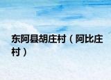 东阿县胡庄村（阿比庄村）