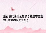 剑圣,是代表什么意思（物理学圣剑是什么意思简介介绍）
