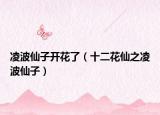 凌波仙子开花了（十二花仙之凌波仙子）