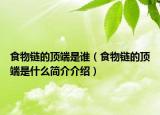 食物链的顶端是谁（食物链的顶端是什么简介介绍）