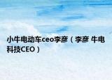 小牛电动车ceo李彦（李彦 牛电科技CEO）
