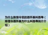 为什么陈情令里的聂怀桑叫聂导（陈情令聂怀桑为什么叫聂导简介介绍）