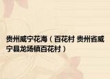 贵州威宁花海（百花村 贵州省威宁县龙场镇百花村）