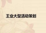 王业大型活动策划