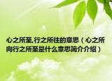 心之所至,行之所往的意思（心之所向行之所至是什么意思简介介绍）