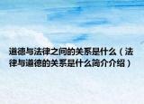 道德与法律之间的关系是什么（法律与道德的关系是什么简介介绍）