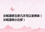 尖锐湿疹丘疹几天可以变疣体（尖锐湿疣小丘疹）