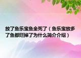 放了鱼乐宝鱼全死了（鱼乐宝放多了鱼都烂掉了为什么简介介绍）