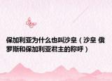 保加利亚为什么也叫沙皇（沙皇 俄罗斯和保加利亚君主的称呼）