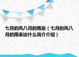 七月的风八月的雨是（七月的风八月的雨表达什么简介介绍）