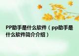 PP助手是什么软件（pp助手是什么软件简介介绍）