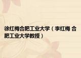 徐红梅合肥工业大学（李红梅 合肥工业大学教授）