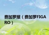 费加罗报（费加罗FIGARO）