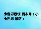 小世界景观 百家号（小小世界 景区）