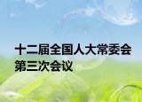 十二届全国人大常委会第三次会议