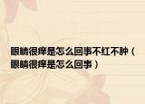 眼睛很痒是怎么回事不红不肿（眼睛很痒是怎么回事）