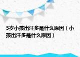5岁小孩出汗多是什么原因（小孩出汗多是什么原因）