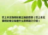 世上本无物何处惹尘埃的意思（世上本无事何处惹尘埃是什么意思简介介绍）