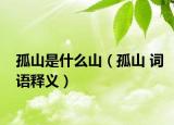 孤山是什么山（孤山 词语释义）
