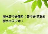 衡水天宁寺图片（天宁寺 河北省衡水市天宁寺）
