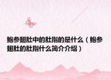 鲍参翅肚中的肚指的是什么（鲍参翅肚的肚指什么简介介绍）