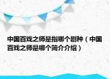 中国百戏之师是指哪个剧种（中国百戏之师是哪个简介介绍）