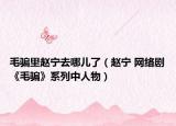 毛骗里赵宁去哪儿了（赵宁 网络剧《毛骗》系列中人物）