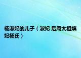 杨淑妃的儿子（淑妃 后周太祖嫔妃杨氏）
