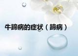 牛蹄病的症状（蹄病）