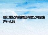 阳江世纪青山镍业有限公司是生产什么的
