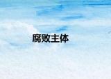 腐败主体