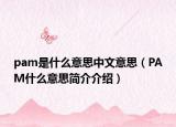 pam是什么意思中文意思（PAM什么意思简介介绍）