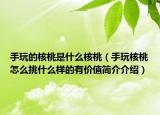 手玩的核桃是什么核桃（手玩核桃怎么挑什么样的有价值简介介绍）