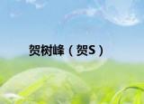 贺树峰（贺S）