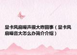 显卡风扇噪声很大咋回事（显卡风扇噪音大怎么办简介介绍）