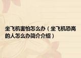 坐飞机害怕怎么办（坐飞机恐高的人怎么办简介介绍）