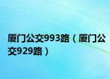 厦门公交993路（厦门公交929路）