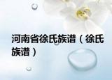 河南省徐氏族谱（徐氏族谱）