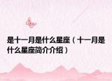 是十一月是什么星座（十一月是什么星座简介介绍）