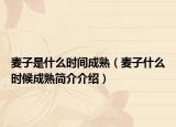 麦子是什么时间成熟（麦子什么时候成熟简介介绍）