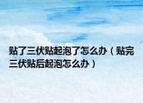 贴了三伏贴起泡了怎么办（贴完三伏贴后起泡怎么办）