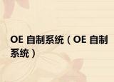 OE 自制系统（OE 自制系统）
