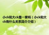 小ck和大ck是一家吗（小ck和大ck有什么关系简介介绍）